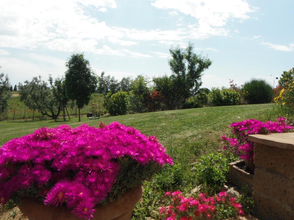 Locanda Degli Etruschi Монталто ди Кастро Екстериор снимка