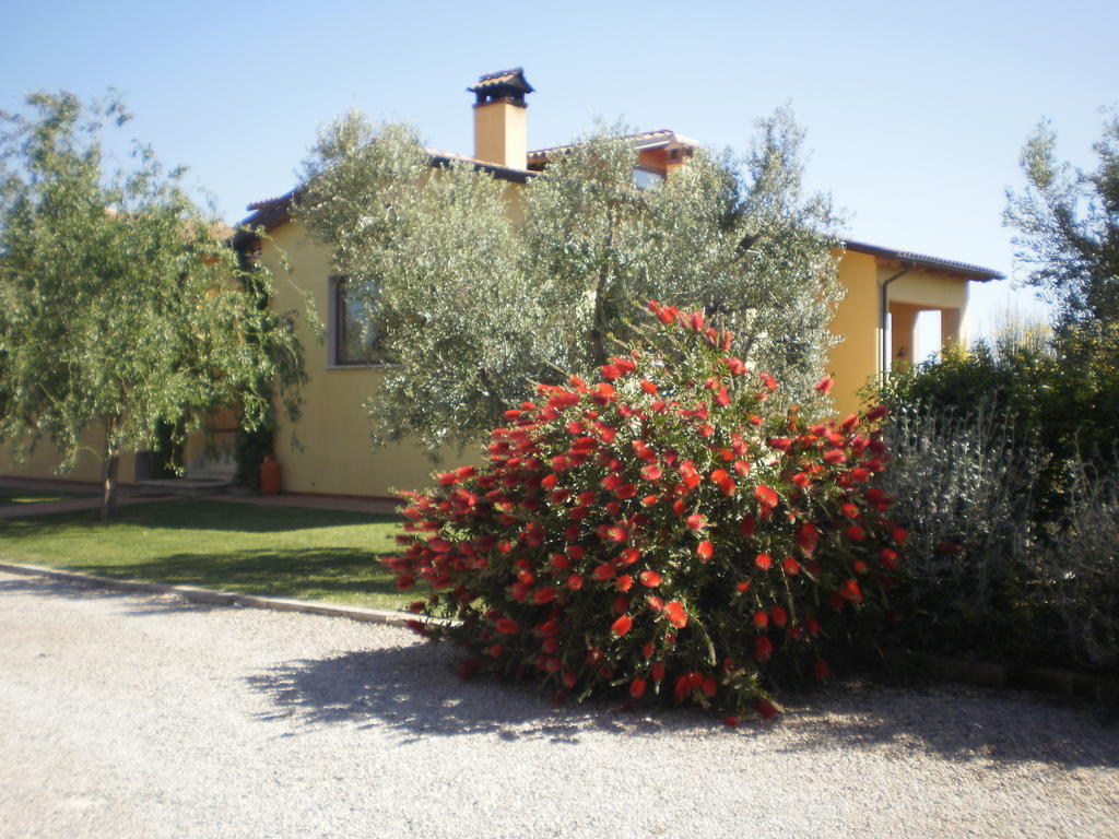 Locanda Degli Etruschi Монталто ди Кастро Екстериор снимка